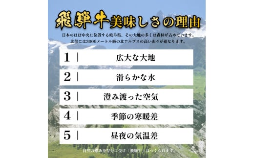 飛騨牛 牛肉 切り落とし 500g×2 計1kg 和牛