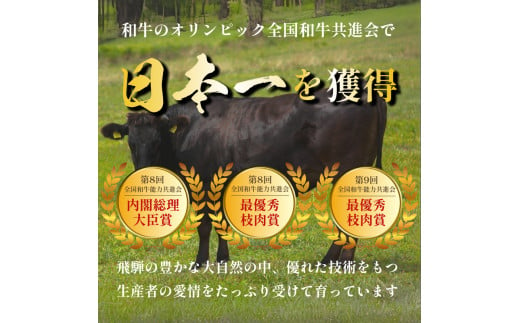 飛騨牛 牛肉 切り落とし 500g×2 計1kg 和牛