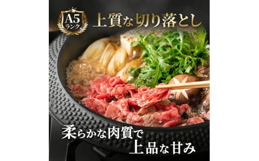 飛騨牛 牛肉 切り落とし 500g×2 計1kg 和牛