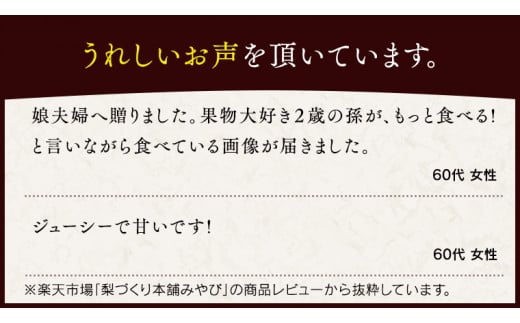 これぞ甘熟 『 幸水 』 5kg ( 自家用 ) 2025年産 先行予約 フルーツ 果物 国産 日本産 梨 ナシ なし 和梨 [DJ001ci]