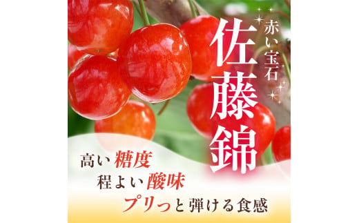 さくらんぼ 先行予約 農園厳選 佐藤錦 サクランボ Lサイズ以上 600g 品質：ギフト向け フルーツ チェリー 果物 ギフト 北海道 仁木町 仁木