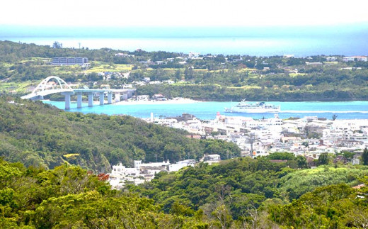 もとぶ町を散策【体験】プラン　4名（本部町ガイドツアー・美ら海水族館・ランチ付）