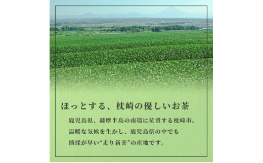 ＜父の日＞「天然玉露あさつゆ」緑茶ティーバッグ(5g×25P)×4袋 A4-1F【1494847】