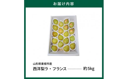 【令和6年産 先行予約】山形セレクション　ラ・フランス 5kg 山形県 東根市 hi069-003