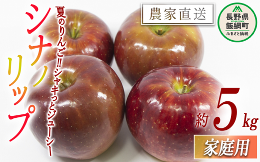 りんご シナノリップ 家庭用 5kg 渡辺農園 沖縄県への配送不可 2024年8月中旬頃から2024年8月下旬頃まで順次発送予定 令和6年度収穫分 エコファーマー認定 減農薬栽培 長野県 飯綱町 [0802]