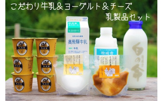 ＜牧成舎＞《自社牧場子牛の命名ができる！》飛騨の４種のこだわり乳製品選べるチケット４４枚