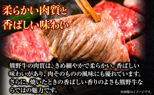 牛肉 熊野牛 サーロインステーキ 約200g(約200g×1枚) 株式会社Meat Factory《30日以内に出荷予定(土日祝除く)》和歌山県 日高川町 熊野牛 黒毛和牛 サーロイン ステーキ 肉 牛肉 和牛 国産 送料無料