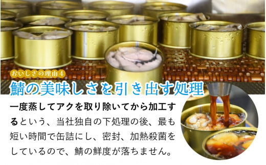 鯖水煮缶詰6缶セット 180g×6缶 ｜着日指定可 サバ缶 鯖缶 さば缶 鯖 サバ さば 缶詰 サバ缶詰 鯖缶詰 缶 詰合せ 詰め合せ セット 非常食 防災 備蓄 常温 常備食 保存食