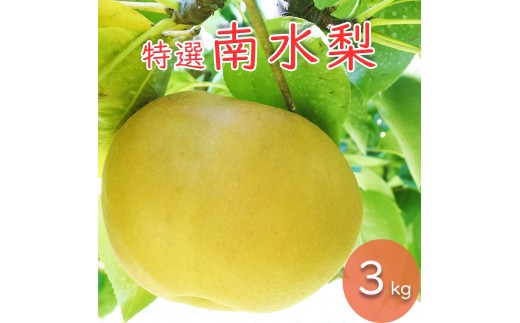 【桔梗園特選梨】南水　3kg