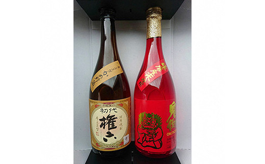 水上村 大石酒造の米焼酎 4合瓶 2本セット 各720ml