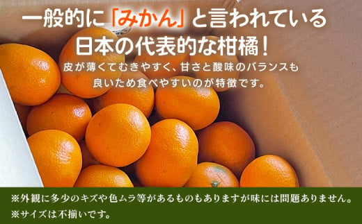 ＜温州みかん ご家庭用 約3kg＞ 訳あり わけあり 自宅用 果物 フルーツ みかん ミカン 蜜柑 オレンジ 柑橘 うんしゅう ウンシュウ 食べて応援 特産品 柑橘園柴田 愛媛県 西予市【常温】