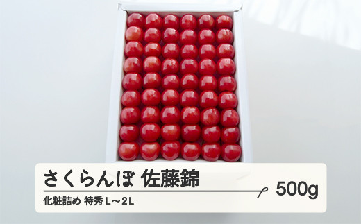 《先行予約》2024年 山形県産 さくらんぼ 佐藤錦 500g 化粧詰め 特秀 L～2L F20A-023