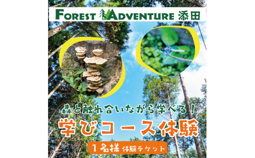 森と触れ合いながら学べる！ワンヘルスコース 1名様体験チケット [a0413] 株式会社 FOREST DEN 【返礼品】添田町 ふるさと納税