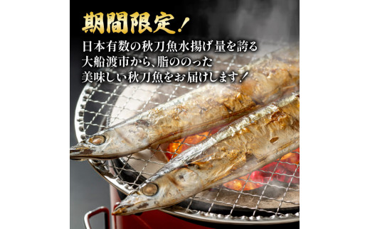 【期間限定】鮮さんま 大型 15本 (1本約120g～130g )  冷蔵 