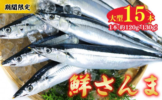 【期間限定】鮮さんま 大型 15本 (1本約120g～130g )  冷蔵 