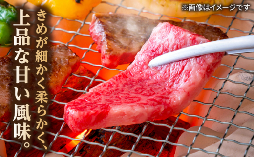 【全6回定期便】長崎和牛 焼肉用 ロース 約400g 牛肉 小分け 【肉の牛長】 [RCJ017]