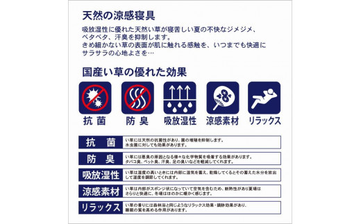 国産い草使用 リバーシブル畳マット TOIRO ダブル ダークブラウン