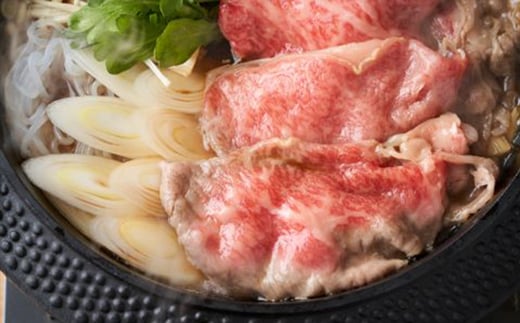 【お肉定期便】【厳選部位】【しゃぶしゃぶすき焼き用】博多和牛サーロイン3回定期便（500g×3回）計1.5kg[F0100T3]