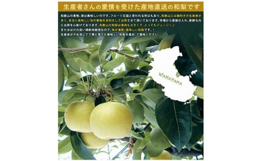 ◆先行予約◆和歌山県産 旬の梨 約4kg【2023年8月中旬以降出荷】