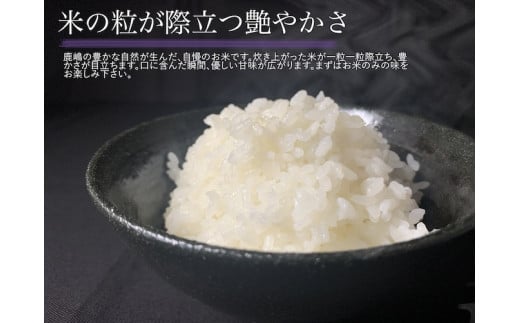 【ご注文より10日以内にお届け】【数量限定】【令和6年産】安心安全のお米！特別栽培米コシヒカリ（5kg）【茨城県 お米 こしひかり 産地直送 最短 おいしい ごはん 】（KAV-5）