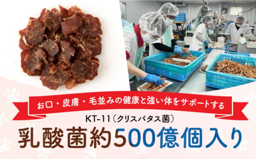 Softbits （肉）うま（40g×6P）長崎県/株式会社サポート [42AEAE006] 肉 ソフトビッツ ドッグ フード いぬ 犬 イヌ おやつ ペット 乳酸菌 国産 馬 うま ばにく シニア 幼犬 老犬 小分け 小型犬 中型犬 大型犬 ドック 安心  犬のおやつ 馬肉 