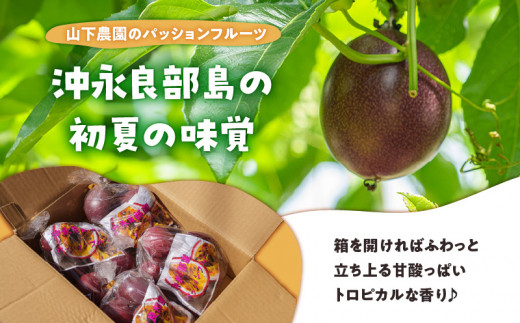 【ご家庭用】山下農園のパッションフルーツ2kg【6月上旬～7月上旬発送】　W063-001