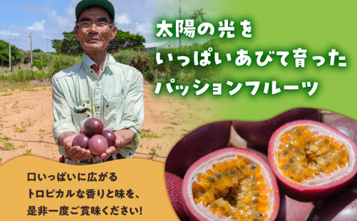 【ご家庭用】山下農園のパッションフルーツ2kg【6月上旬～7月上旬発送】　W063-001