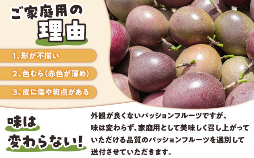 【ご家庭用】山下農園のパッションフルーツ2kg【6月上旬～7月上旬発送】　W063-001