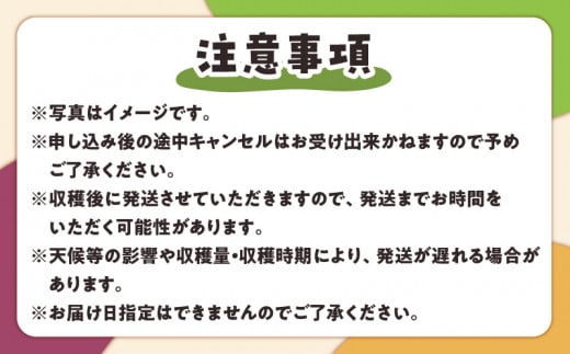 【ご家庭用】山下農園のパッションフルーツ2kg【6月上旬～7月上旬発送】　W063-001