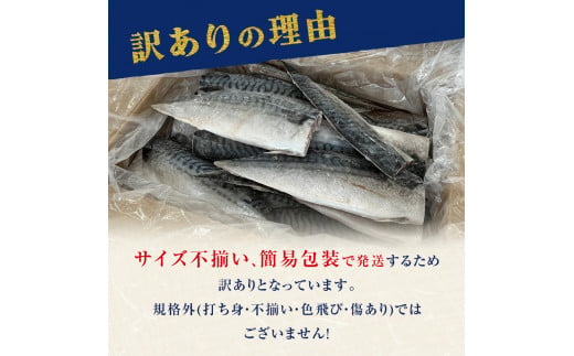 【発送月指定なし】さば ＜ 訳あり ＞  無添加 塩サバフィレ 3.5kg 冷凍 魚 青魚 塩さば 冷凍 不揃い 規格外 ご家庭用 焼き魚 焼魚 鯖 切身 サバ フィレ わけあり 鯖フィレ サバフィーレ 切り身