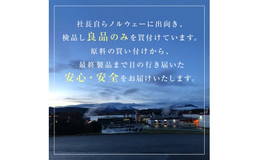 【発送月指定なし】さば ＜ 訳あり ＞  無添加 塩サバフィレ 3.5kg 冷凍 魚 青魚 塩さば 冷凍 不揃い 規格外 ご家庭用 焼き魚 焼魚 鯖 切身 サバ フィレ わけあり 鯖フィレ サバフィーレ 切り身