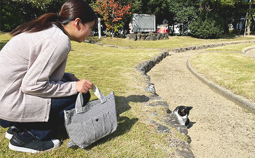 井原デニムランチバッグ（ヒッコリーストライプ）