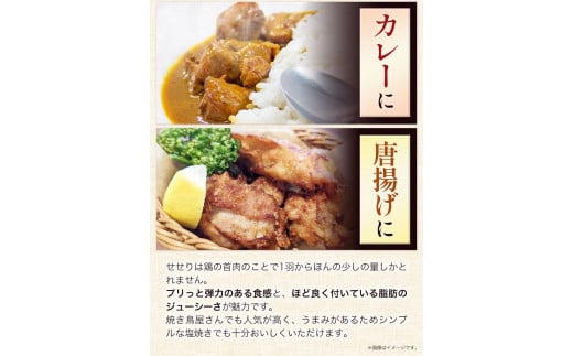 【あべどり】焼き鳥 5種×10本 せせり 300g《30日以内に出荷予定(土日祝除く)》 岩手県 九戸村 セット 焼鳥 鶏肉 やきとり 大容量 BBQ おつまみ ねぎま 皮 砂肝 小肉串 軟骨小肉