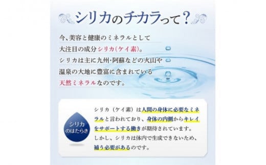 biora天然シリカ炭酸水 500ml×48本(2ケース) A'-10 biora 天然シリカ 炭酸水 500ml×48本 大分県 玖珠町 採水 水 飲料 シリカ 軟水 ミネラル 水分補給 美容 健康 続けやすい 高吸収力 自然 ミネラルウォーター 防災 備蓄