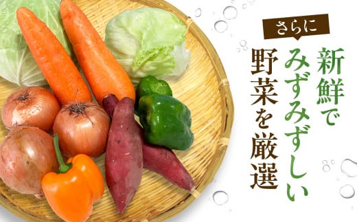 A14 JAグリーン近江 東近江市産 野菜セット 季節 旬 春野菜 夏野菜 秋野菜 きのこ 葉物 果物 果菜 根菜 冷蔵 野菜室 ダイエット 食 栄養食 加工品 カット野菜 野菜セット やさいセット 野菜セット 産地直送 新鮮野菜 グリーン近江農業協同組合