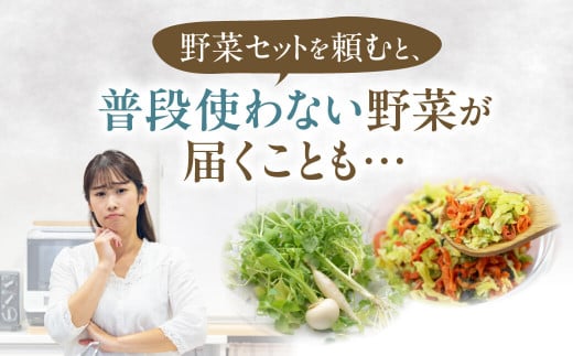 A14 JAグリーン近江 東近江市産 野菜セット 季節 旬 春野菜 夏野菜 秋野菜 きのこ 葉物 果物 果菜 根菜 冷蔵 野菜室 ダイエット 食 栄養食 加工品 カット野菜 野菜セット やさいセット 野菜セット 産地直送 新鮮野菜 グリーン近江農業協同組合