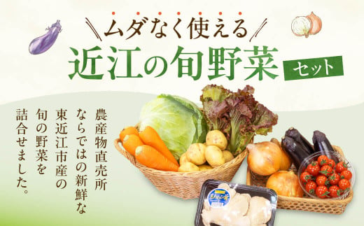 A14 JAグリーン近江 東近江市産 野菜セット 季節 旬 春野菜 夏野菜 秋野菜 きのこ 葉物 果物 果菜 根菜 冷蔵 野菜室 ダイエット 食 栄養食 加工品 カット野菜 野菜セット やさいセット 野菜セット 産地直送 新鮮野菜 グリーン近江農業協同組合