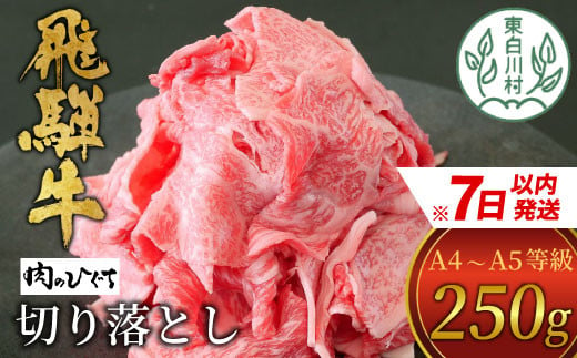 飛騨牛 切り落とし 250g A5等級 A4等級 肉のひぐち 5000円