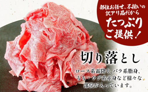 飛騨牛 切り落とし 250g A5等級 A4等級 肉のひぐち 5000円