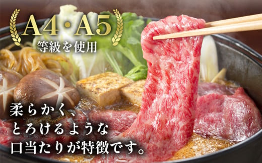 飛騨牛 切り落とし 250g A5等級 A4等級 肉のひぐち 5000円