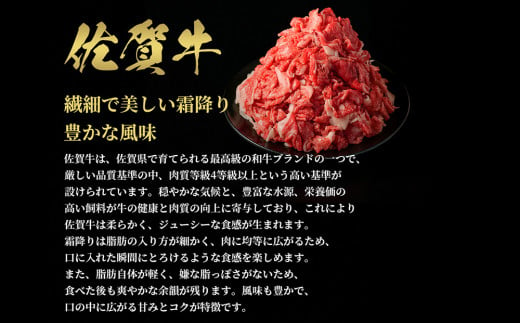 【先行受付 令和6年12月中旬より発送】【和牛セレブ】佐賀牛 切り落とし 500g【肉 ブランド牛 和牛 牛肉 ふるさと納税】(H113117)