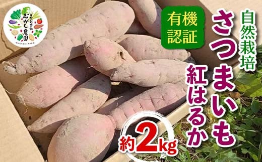 有機認証 自然栽培 さつまいも（紅はるか） 約2kg 【むがし農園】 サツマイモ 薩摩芋 焼芋 やきいも 焼きいも スイーツ おやつ デザート オーガニック F21U-375