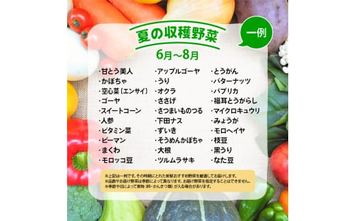 旬 野菜 新鮮 やさい 詰め合わせ 食べ比べ 滋賀県 竜王町 産地直送（ 玉ねぎ 白菜 キャベツ きゅうり なす にんにく トマト ニラ じゃがいも レタス ゴーヤ 人参 ピーマン かぼちゃ ゴーヤ オクラ 大根 モロヘイヤ 枝豆 九条ネギ 生姜 ほうれん草 わさび菜 黒豆 グリーンリーフ 高菜 チンゲンサイ 自然薯 セロリ 芽キャベツ 小松菜 ブロッコリー 春菊 蓮根 さつま芋 里芋 ルッコラ）