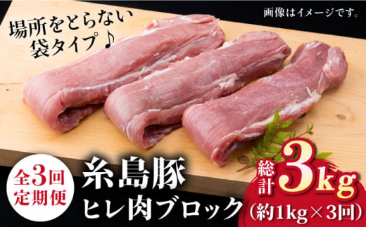 【全3回定期便】糸島豚 ヒレ肉 ブロック 1kg （1本350g前後×3本）《糸島》【糸島ミートデリ工房】 [ACA233]