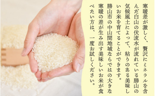 【先行予約】白山の恵み 令和6年度産 新米 コシヒカリ（精米）10kg ※2024年10月上旬より順次発送 [A-009010]