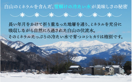 【先行予約】白山の恵み 令和6年度産 新米 コシヒカリ（精米）10kg ※2024年10月上旬より順次発送 [A-009010]