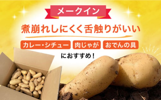 【先行予約】＜2025年5月〜発送＞長崎県産 春作じゃがいも メークイン 5kg 長崎県/オースタイルファーム株式会社 [42ALAD002] じゃがいも ポテト 長崎 雲仙 じゃがいも ポテト 長崎 雲仙 ジャガイモ 馬鈴薯 じゃが芋 春じゃが メイクイーン 野菜 産地直送 旬 いも 芋  サイズ混合