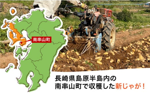 【先行予約】＜2025年5月〜発送＞長崎県産 春作じゃがいも メークイン 5kg 長崎県/オースタイルファーム株式会社 [42ALAD002] じゃがいも ポテト 長崎 雲仙 じゃがいも ポテト 長崎 雲仙 ジャガイモ 馬鈴薯 じゃが芋 春じゃが メイクイーン 野菜 産地直送 旬 いも 芋  サイズ混合