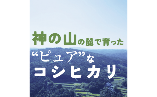 10月発送分予約 切幡営農組合のコシヒカリ 令和6年産 精米5kg×2袋