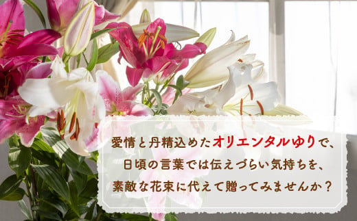 福原さん家のオリエンタルゆりの花束 20本（3～5輪） 【ふるさと納税 人気 おすすめ ランキング 花 ゆり 花束 プレゼント 記念日 ギフト 北海道 豊浦町 送料無料】 TYUAB004